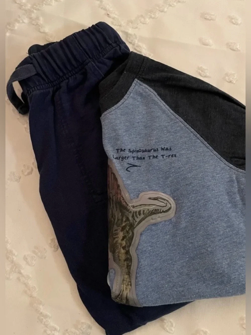 Kids Navy Blue Dinosaur OshKosh Set